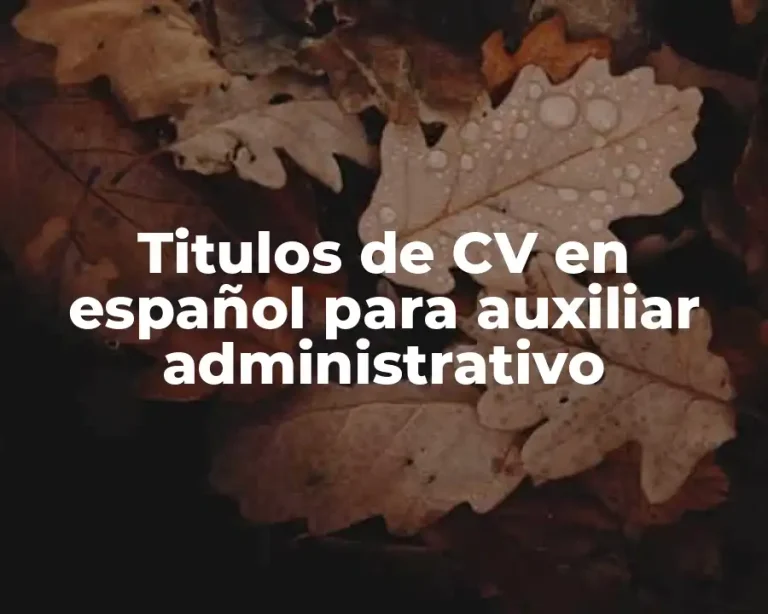 Titulos de CV en español para auxiliar administrativo