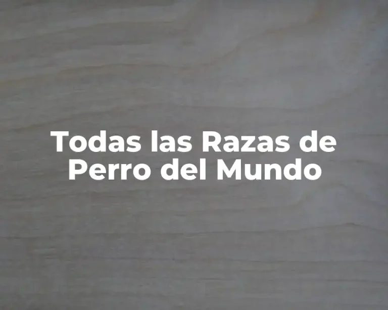 Todas las Razas de Perro del Mundo