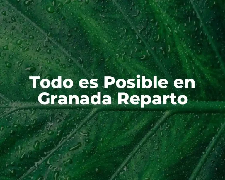Todo es Posible en Granada Reparto