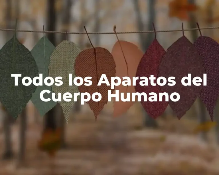 Todos los Aparatos del Cuerpo Humano