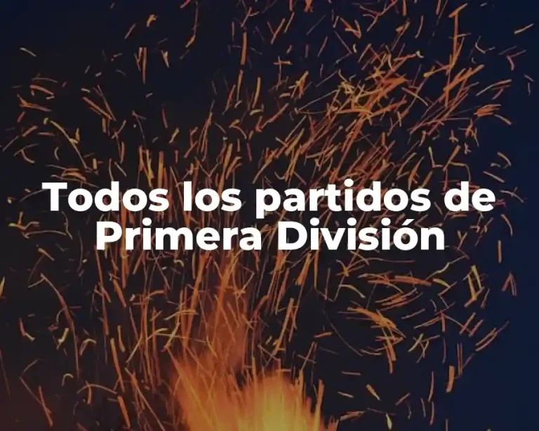 Todos los partidos de Primera División