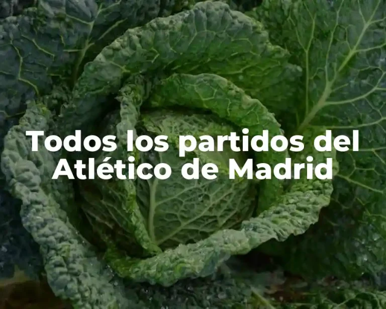 Todos los partidos del Atlético de Madrid