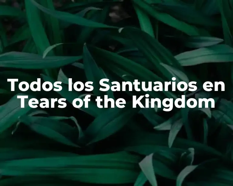 Todos los Santuarios en Tears of the Kingdom