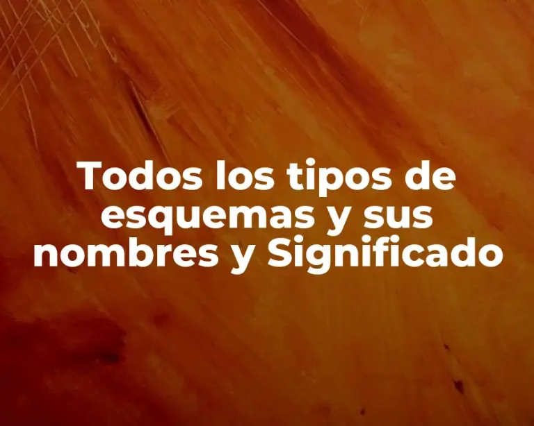 Todos los tipos de esquemas y sus nombres y Significado