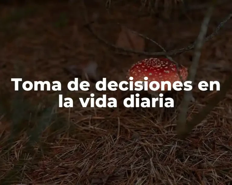 Toma de decisiones en la vida diaria