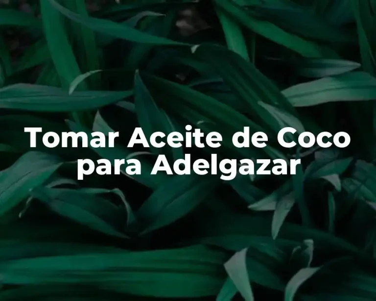 Tomar Aceite de Coco para Adelgazar