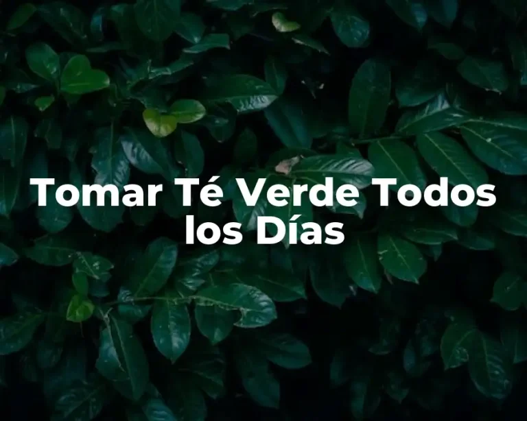 Tomar Té Verde Todos los Días