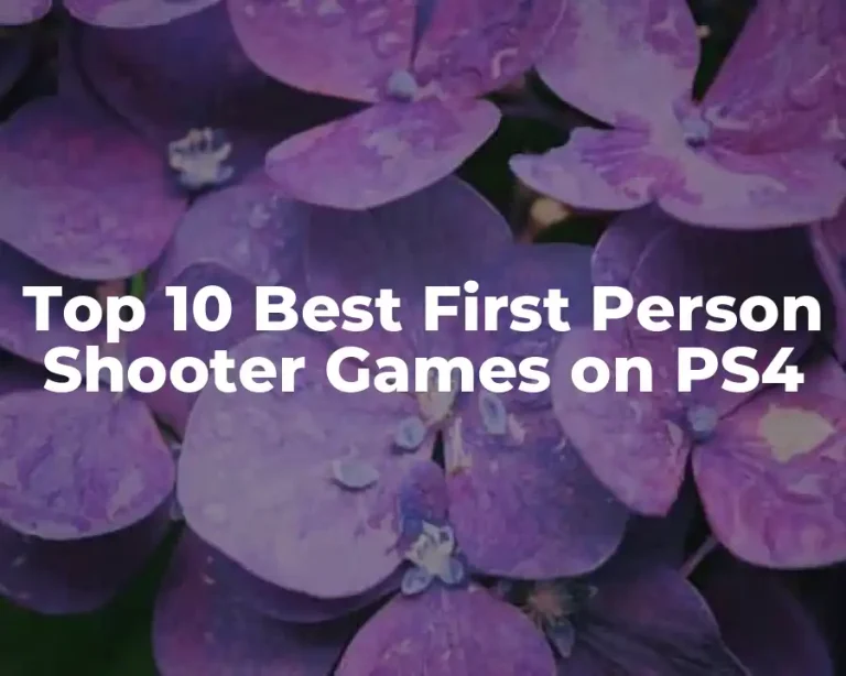 Top 10 Best First Person Shooter Games on PS4