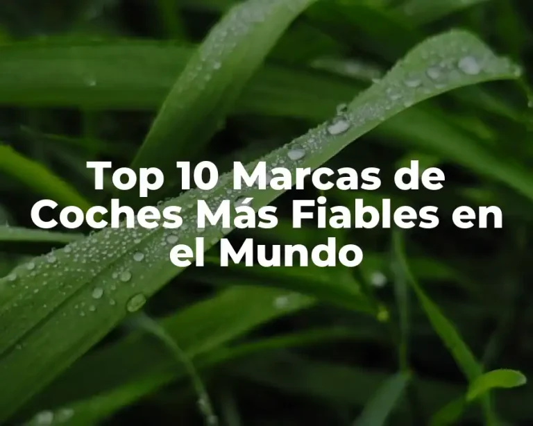 Top 10 Marcas de Coches Más Fiables en el Mundo