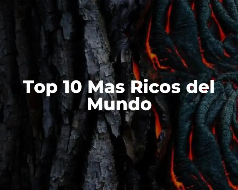 Top 10 Mas Ricos del Mundo