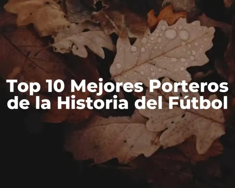 Top 10 Mejores Porteros de la Historia del Fútbol