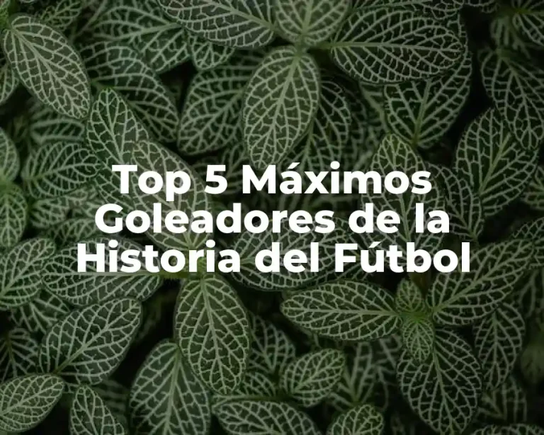 Top 5 Máximos Goleadores de la Historia del Fútbol