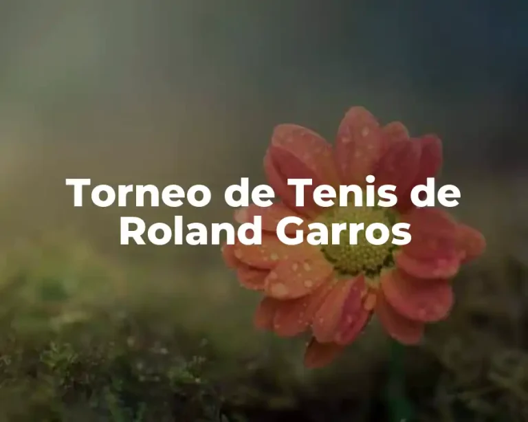 Torneo de Tenis de Roland Garros