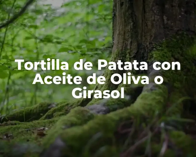 Tortilla de Patata con Aceite de Oliva o Girasol