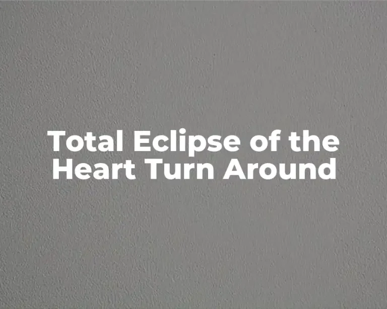 Total Eclipse of the Heart Turn Around