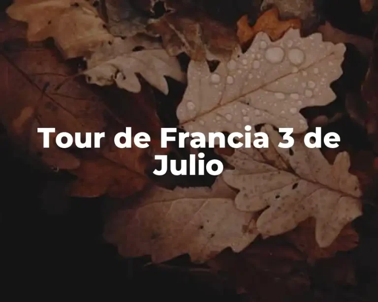 Tour de Francia 3 de Julio