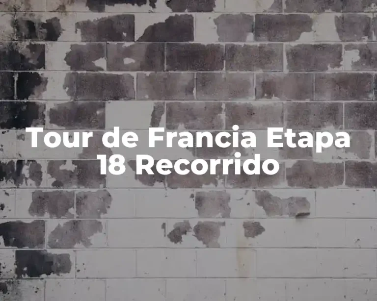 Tour de Francia Etapa 18 Recorrido