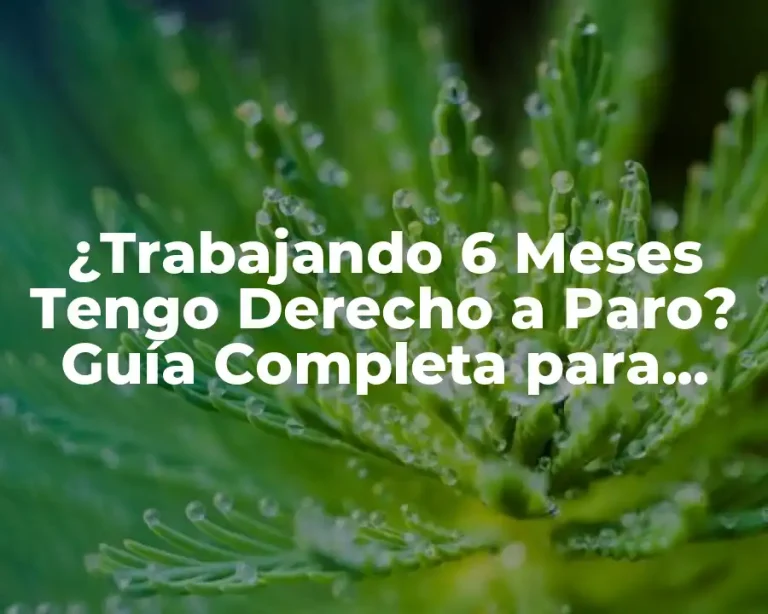 ¿Trabajando 6 Meses Tengo Derecho a Paro? Guía Completa para Conocer tus Derechos