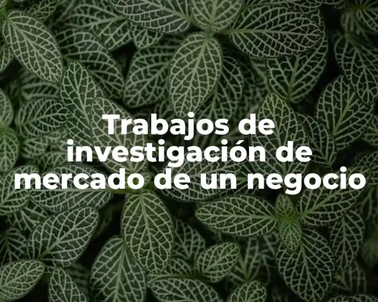 Trabajos de investigación de mercado de un negocio