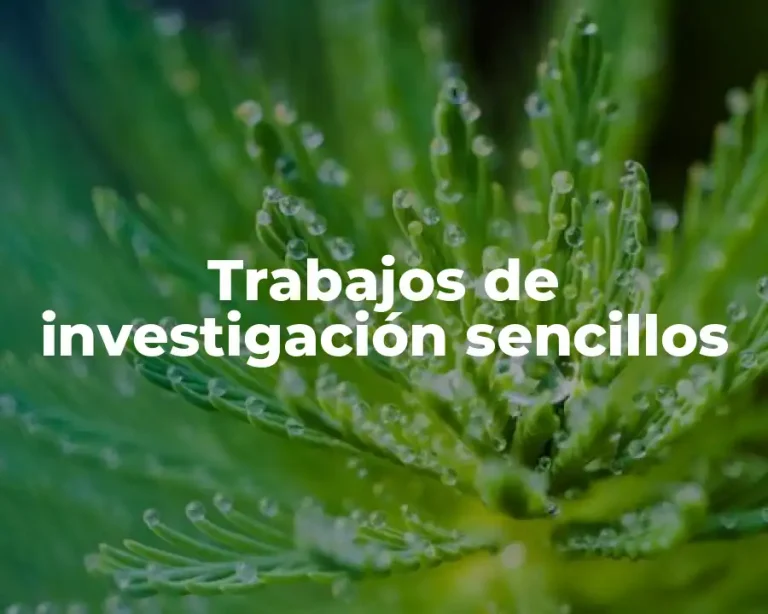 Trabajos de investigación sencillos