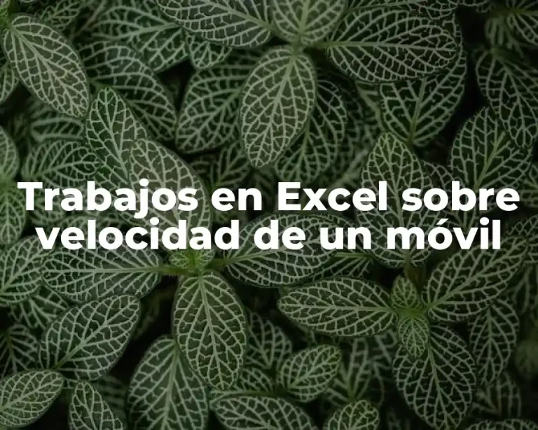 Trabajos en Excel sobre velocidad de un móvil