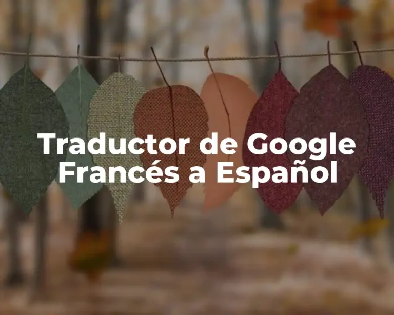 Traductor de Google Francés a Español