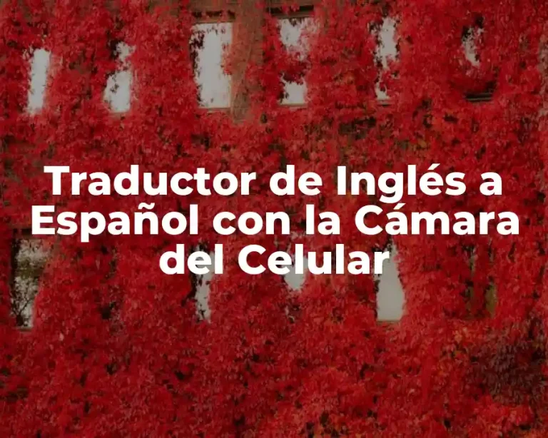 Traductor de Inglés a Español con la Cámara del Celular