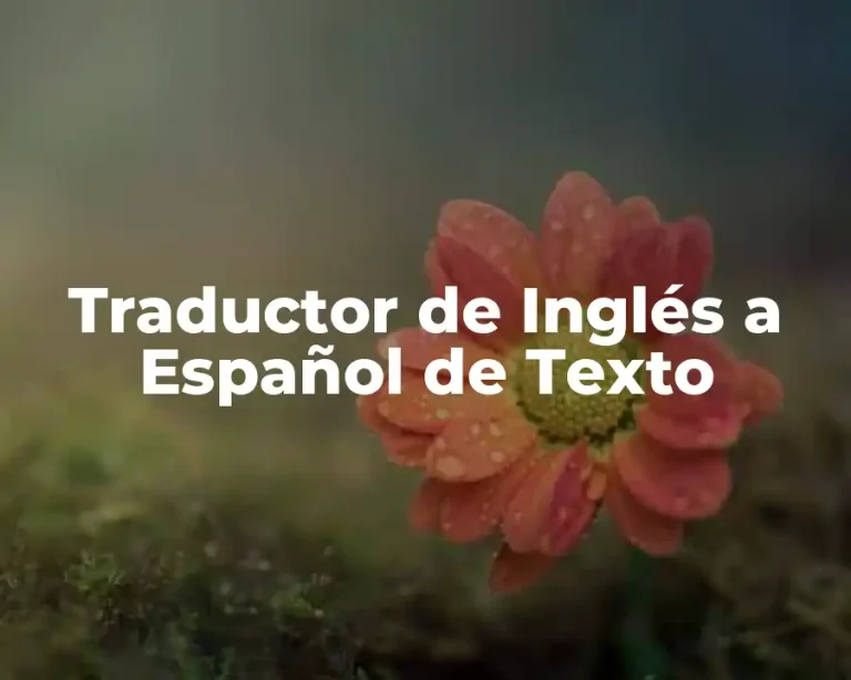 Traductor de Inglés a Español de Texto