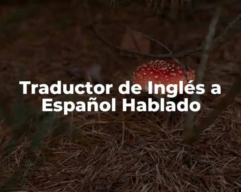 Traductor de Inglés a Español Hablado