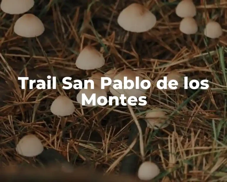 Trail San Pablo de los Montes