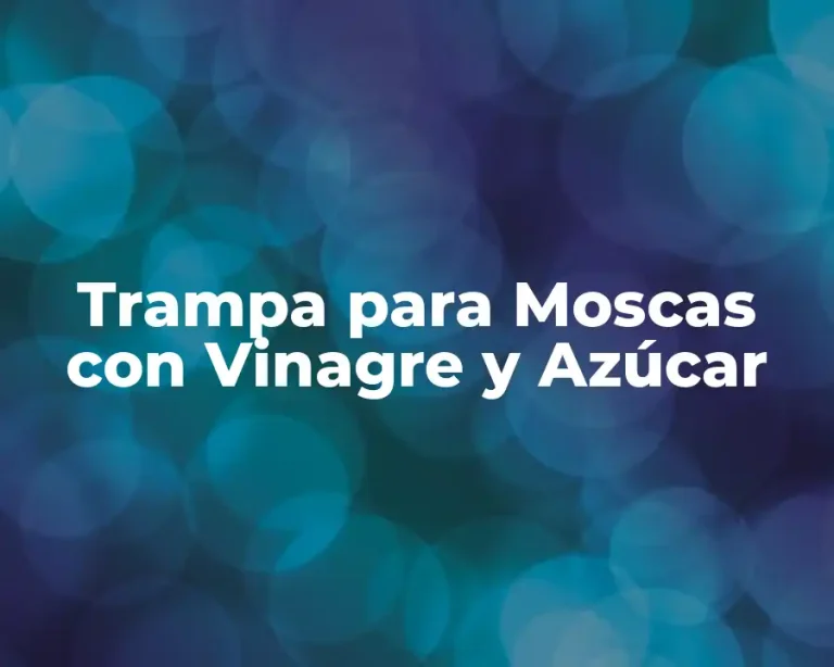 Trampa para Moscas con Vinagre y Azúcar
