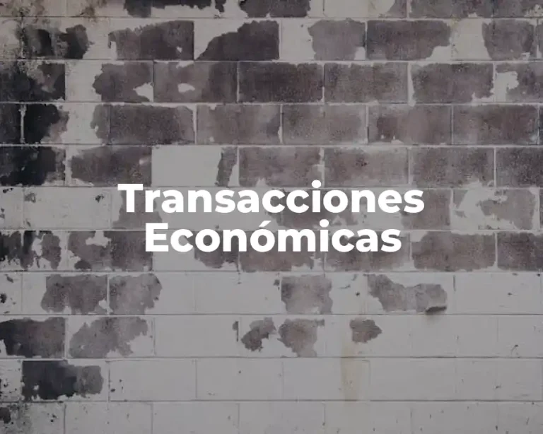 Transacciones Económicas