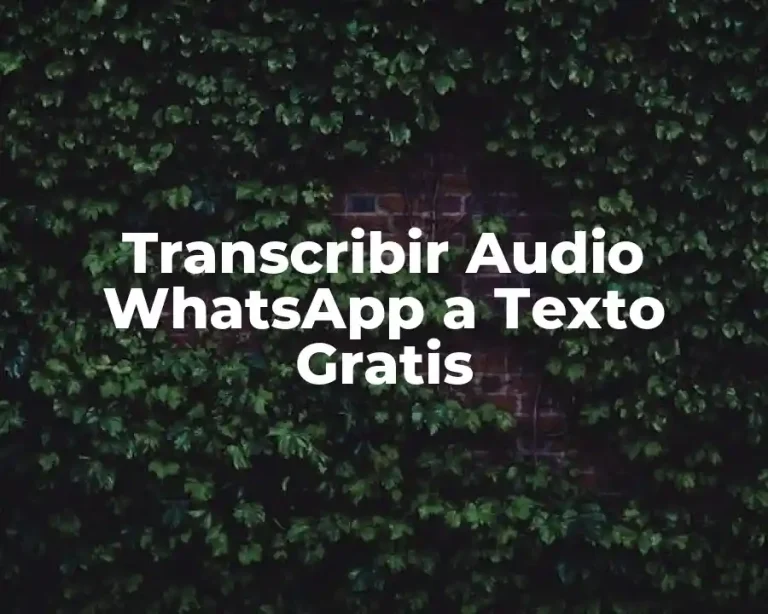 Transcribir Audio WhatsApp a Texto Gratis