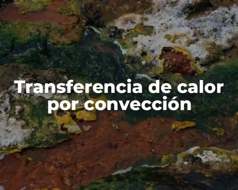 Transferencia de calor por convección