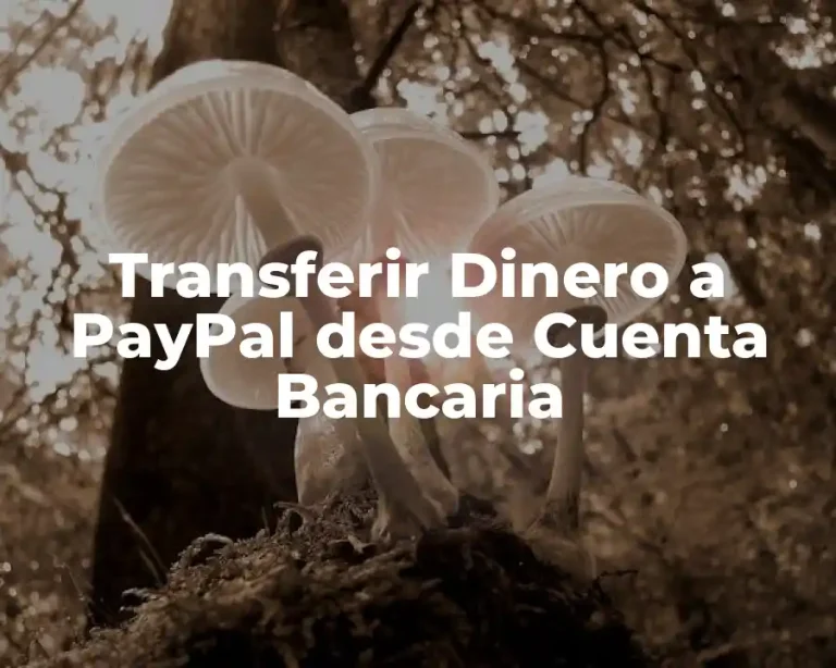 Transferir Dinero a PayPal desde Cuenta Bancaria