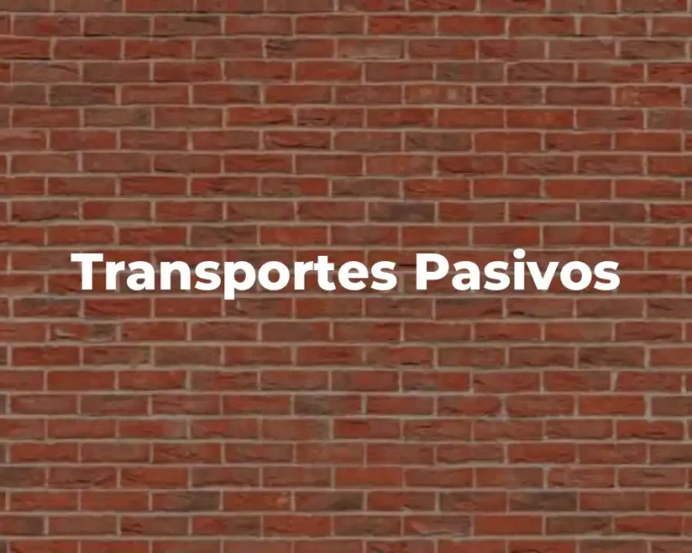 Transportes Pasivos