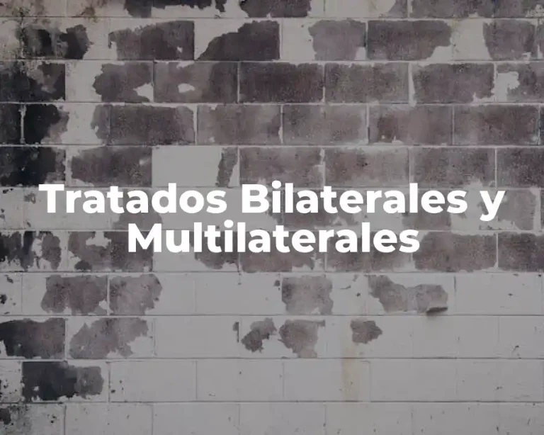 Tratados Bilaterales y Multilaterales