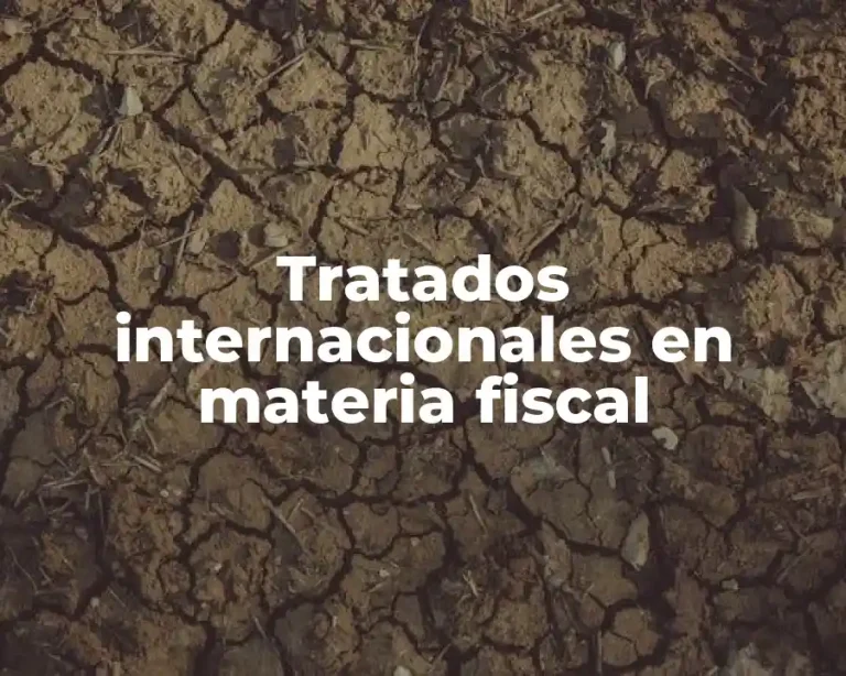 Tratados internacionales en materia fiscal