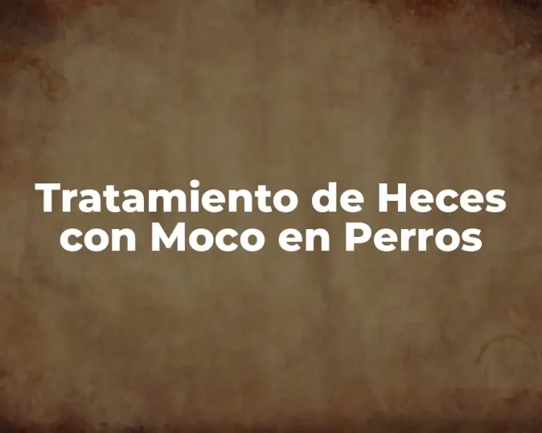 Tratamiento de Heces con Moco en Perros