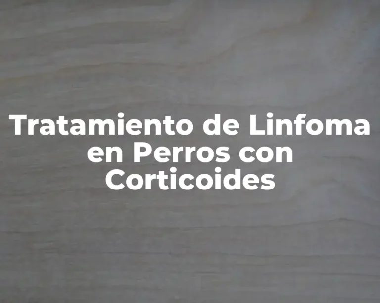 Tratamiento de Linfoma en Perros con Corticoides