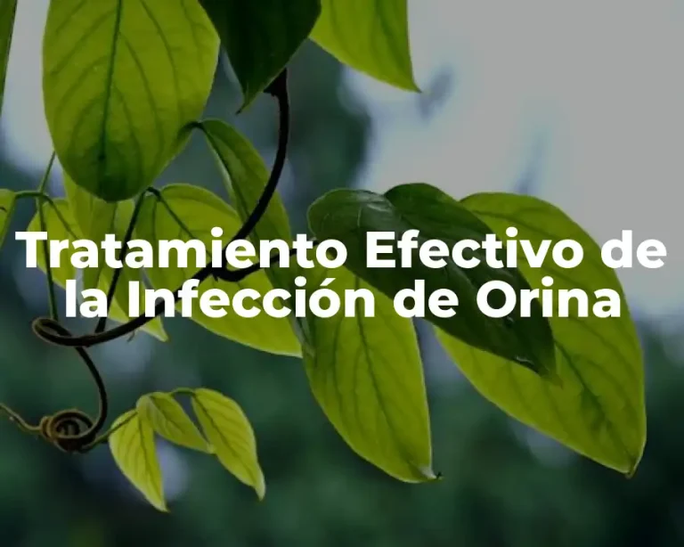 Tratamiento Efectivo de la Infección de Orina