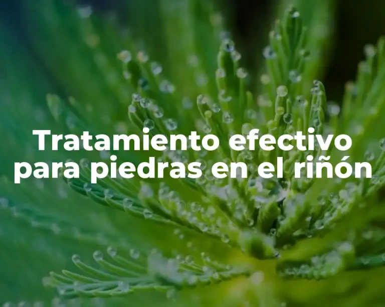 Tratamiento efectivo para piedras en el riñón