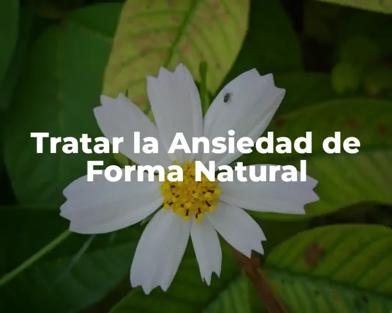Tratar la Ansiedad de Forma Natural