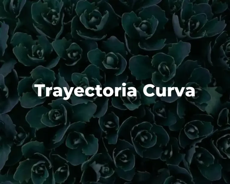 Trayectoria Curva