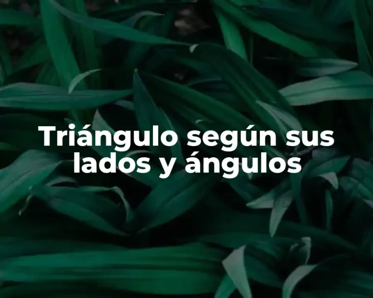 Triángulo según sus lados y ángulos