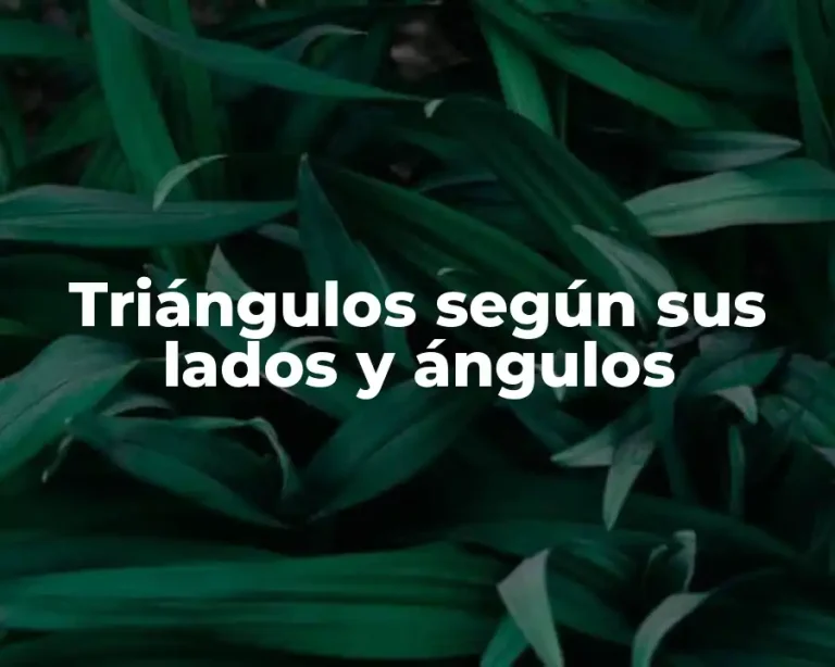Triángulos según sus lados y ángulos