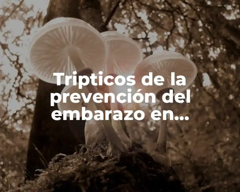 Tripticos de la prevención del embarazo en adolescentes