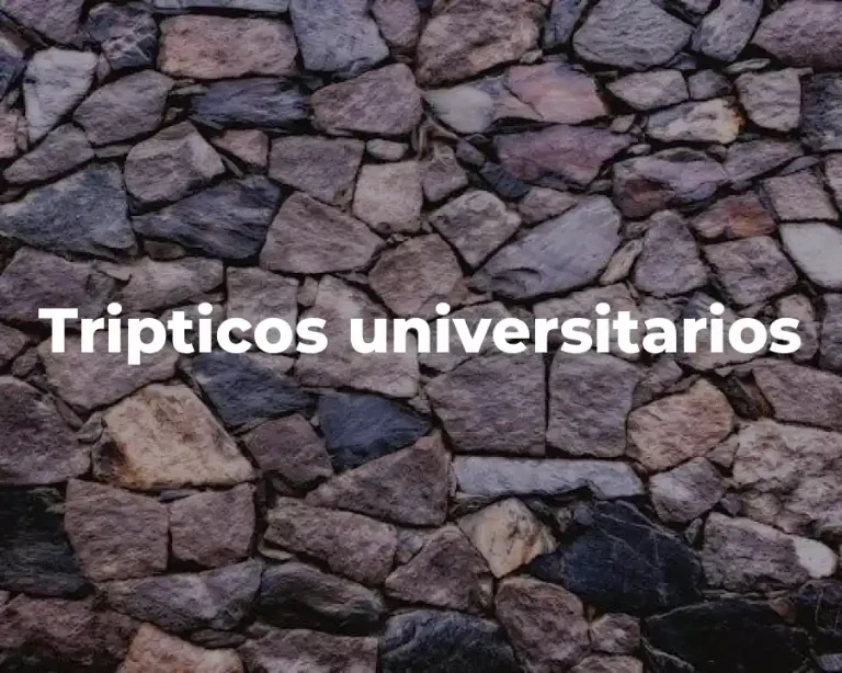 Tripticos universitarios