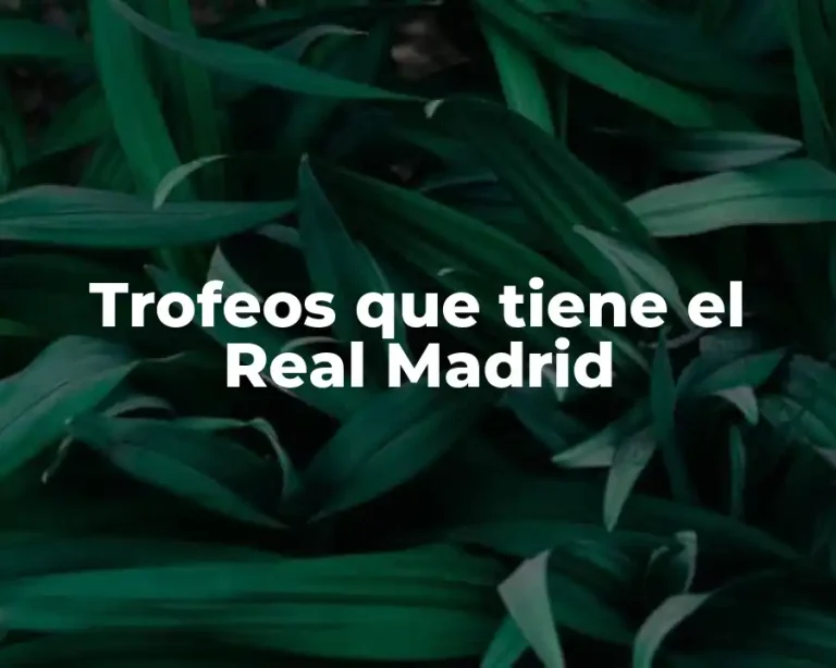 Trofeos que tiene el Real Madrid