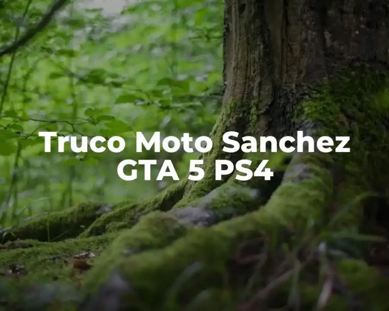 Truco Moto Sanchez GTA 5 PS4